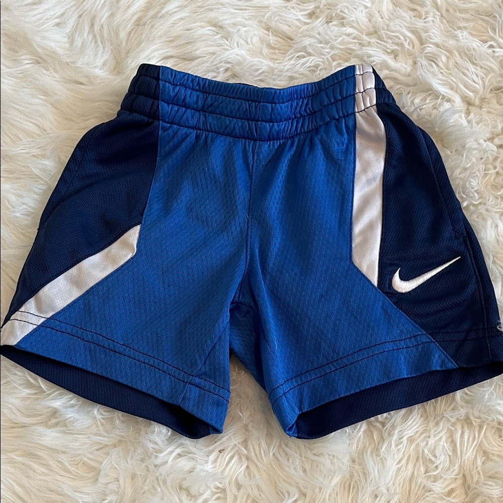 Nike Royal Blue and White Sports Shorts